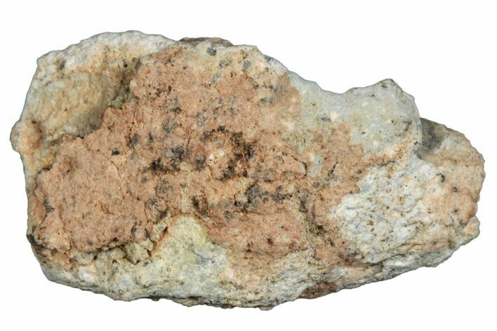 Lunar Meteorite ( g) - Bechar #288498